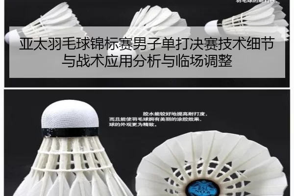 亚太羽毛球锦标赛男子单打决赛技术细节与战术应用分析与临场调整